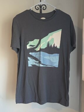 Old Navy Gray Short-Sleeve Tee with Mountain and Lake Graphic Size Large
